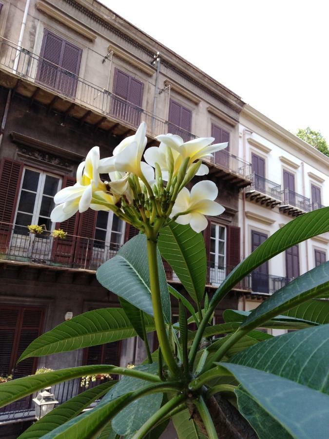 B&B Santa Caterina Palermo Luaran gambar